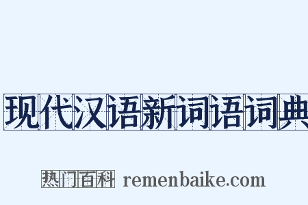 现代汉语新词语词典是什么意思的图片